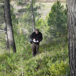 Tiziano Panini expert forestier